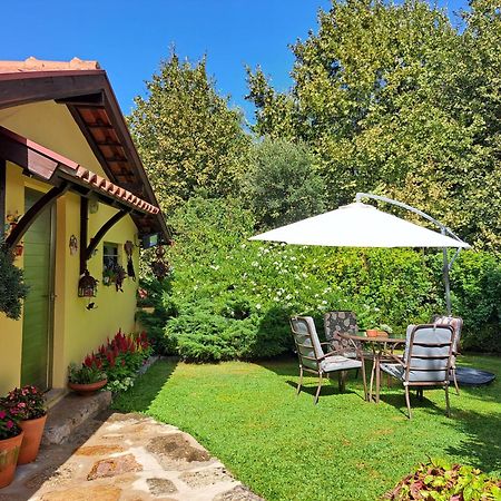 Quinta De Carcavelos Agroturismo E Enoturismo 塞洛里库迪巴什图 外观 照片