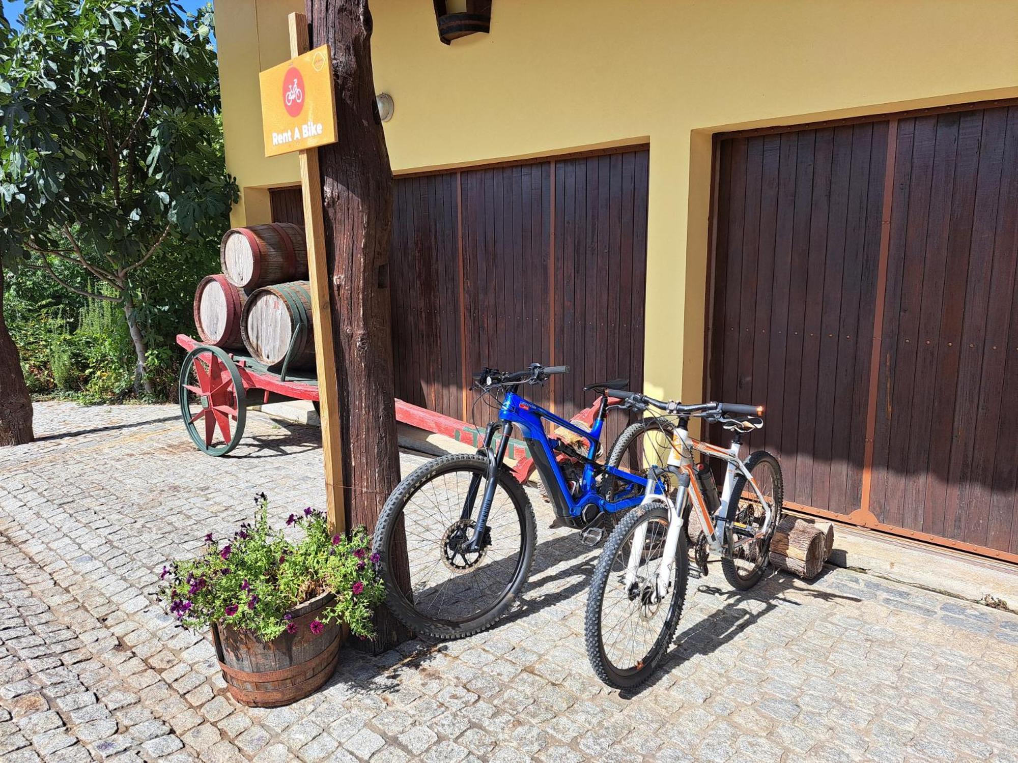 Quinta De Carcavelos Agroturismo E Enoturismo 塞洛里库迪巴什图 外观 照片